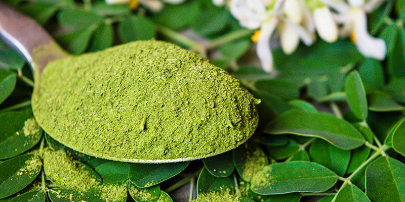 Få ut mer av moringa redan i dag Få ut mer av moringa redan i dag