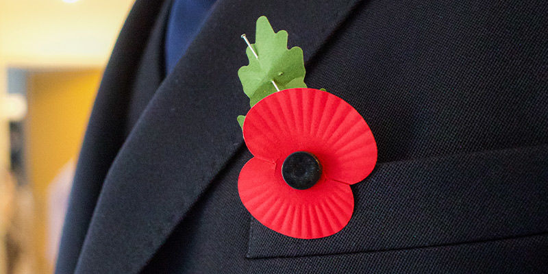 Symboliken bakom vallmor Symbolism Of Poppies