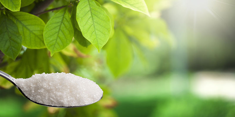 Fördelar med stevia Benefits Of Stevia