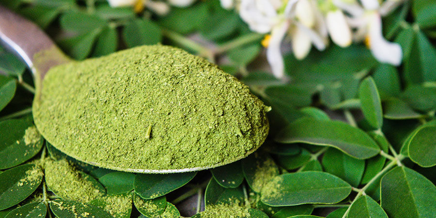 Moringa Moringa