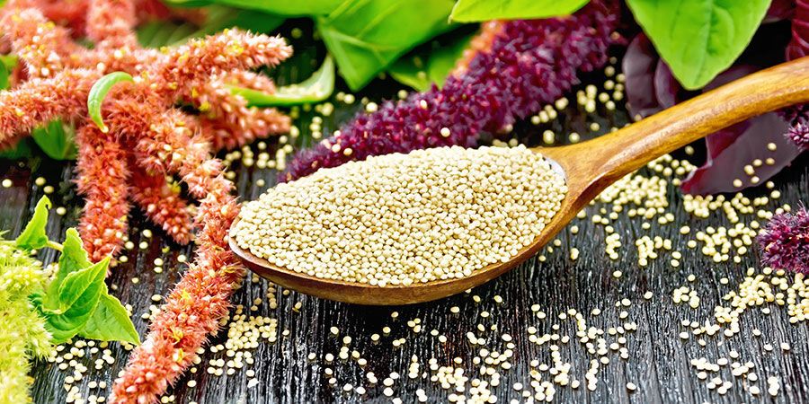 Amaranth Amaranth
