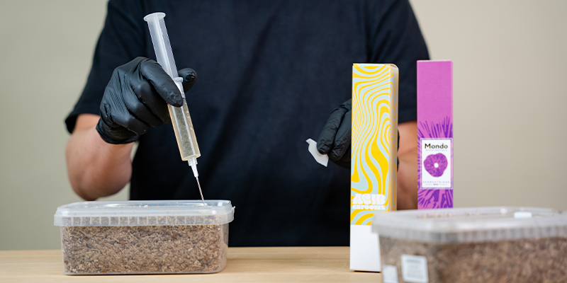 Vilket är bäst för svampodling: sporsprutor eller vätskekultursprutor? Which Is Better For Mushroom Cultivation: Spore Syringes Or Liquid Culture?