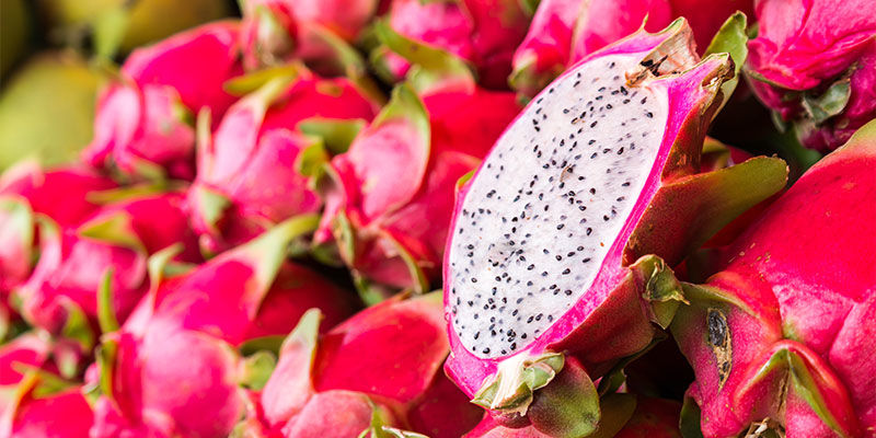 Drakfrukt Dragon Fruit