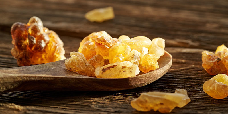 Boswellia Boswellia