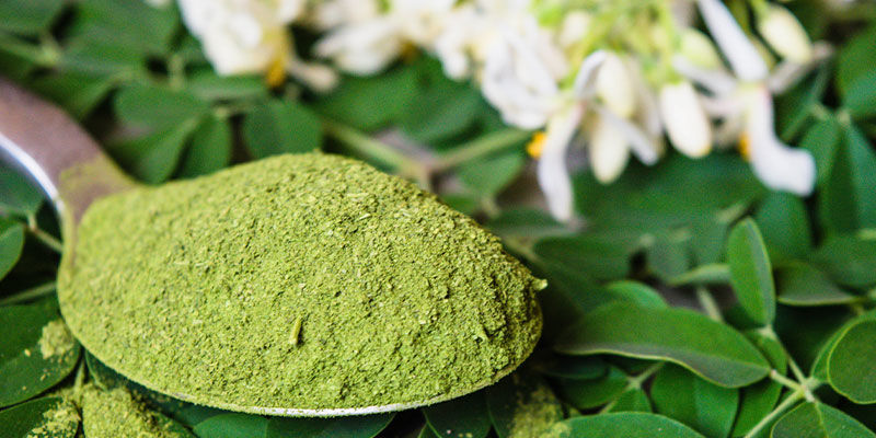 Moringa Moringa