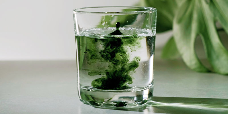 Chlorella: Ett utm&auml;rkt tillskott till en h&auml;lsosam kost