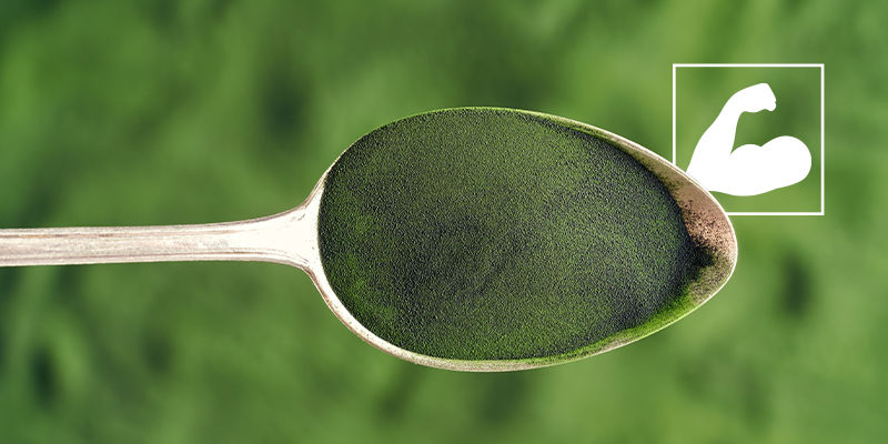 Vilka &auml;r h&auml;lsof&ouml;rdelarna med chlorella?