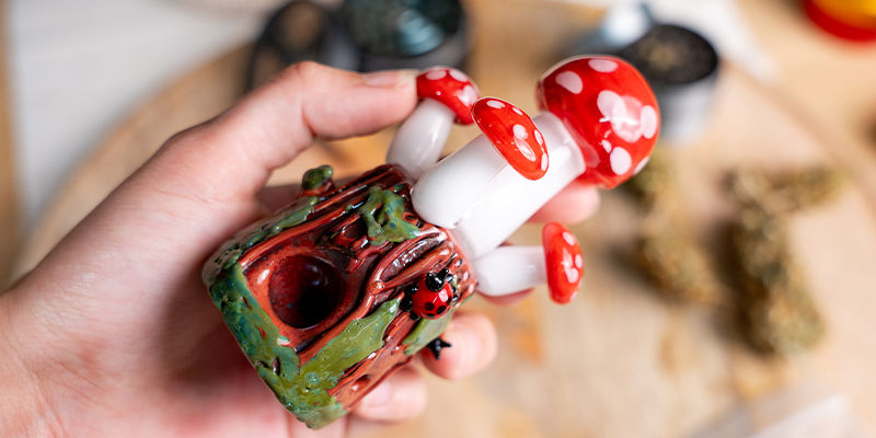 Mushrooms Dry Pipe Mushrooms Dry Pipe