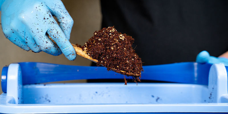 För- och nackdelar med att använda kokosfiber Pros and cons of using coco coir