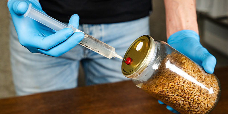 Gör ett monotub-substrat Make a monotub substrate