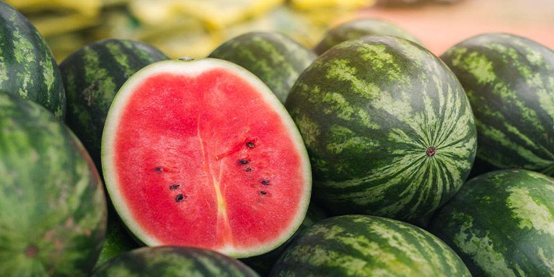 Vattenmelon Watermelon
