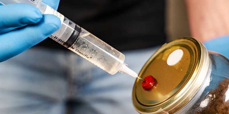 Inokulera kittet genom att föra in sprutan i mediet via injektionsporten Inoculate the kit by sticking the syringe into the medium through the injection port