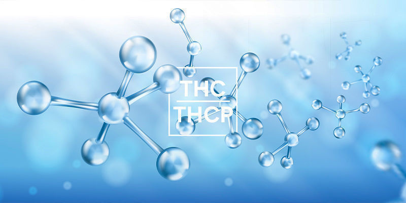 Hur skiljer sig THCP från THC? Hur skiljer sig THCP från THC?