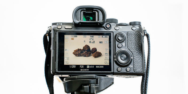 7 tips för högkvalitativa cannabisbilder 7 tips för högkvalitativa cannabisbilder