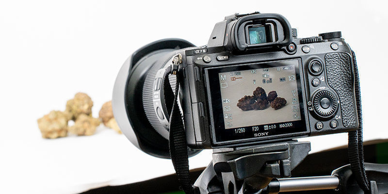 Hur du ställer in kameran för cannabisfotografering Hur du ställer in kameran för cannabisfotografering