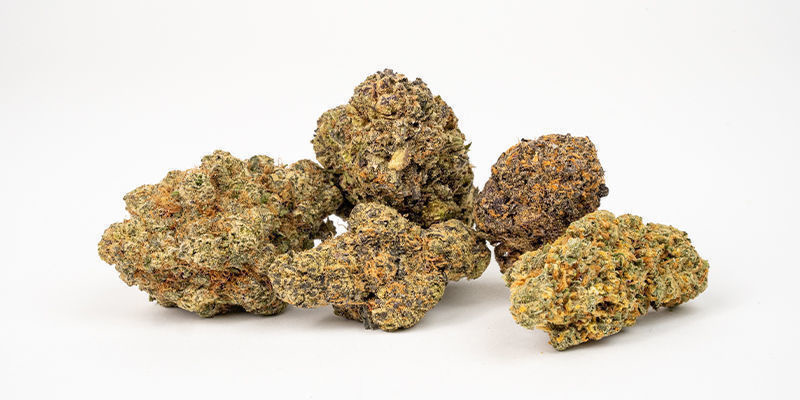 Varför ta bilder på cannabis? Why take pictures of cannabis?
