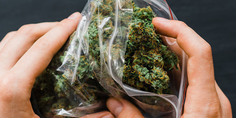 Vad är luktfria påsar? What Are Smell-Proof Bags?