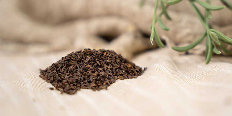 Peganum Harmala: Magiska frön som det fortfarande finns mycket att lära om Peganum Harmala: Magical Seeds With Much Still To Learn