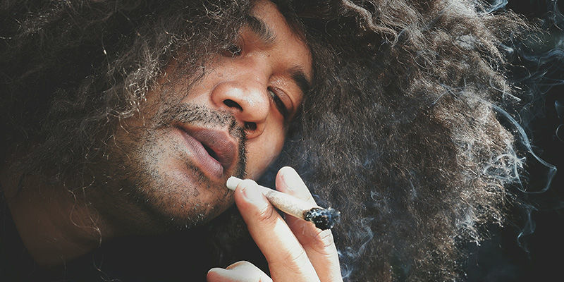 Cannabis And Hair — A Complex Relationship Cannabis And Hair — A Complex Relationship