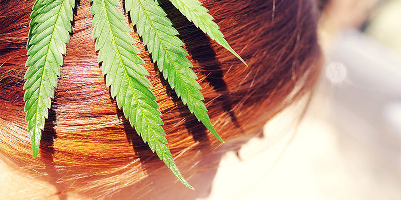 Kan cannabis ge hårväxt eller håravfall? Kan cannabis ge hårväxt eller håravfall?