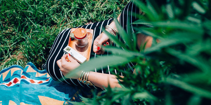 Vad används cannabis till? Vad används cannabis till?