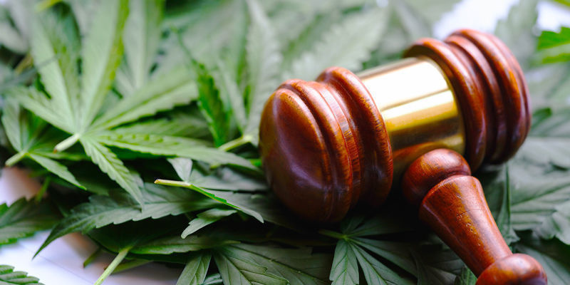 När blir cannabis lagligt? När blir cannabis lagligt?