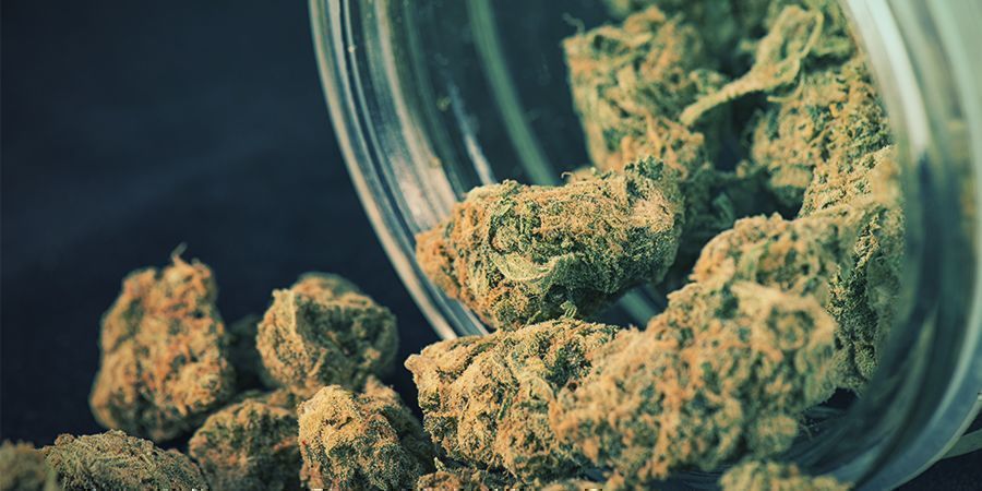 Terpenoids Terpenoids