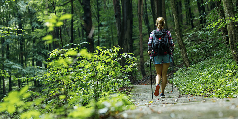 Ta en promenad i naturen Ta en promenad i naturen