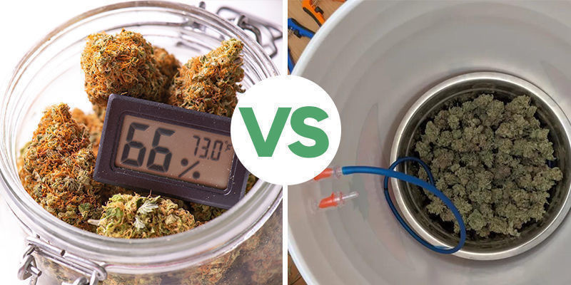 Curing Cannabis: Manuell vs automatiserad Curing Cannabis: Manual VS Automated