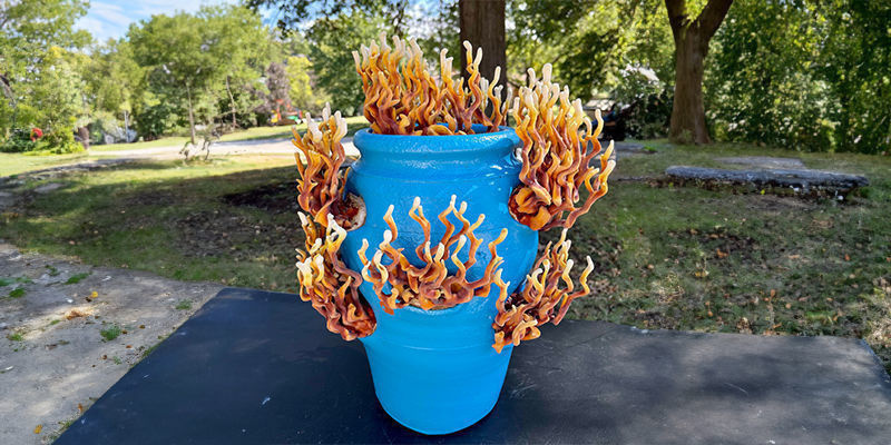 Från blommor till kraft: Så förändrar svampar världen till det bättre From Flowers To Power: How Mushrooms Are Changing The World For The Better
