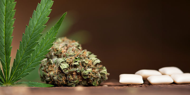 Cannabistuggummi Cannabis Chewing Gum