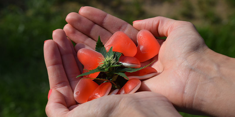 Vilket är det bästa sättet att använda THCa? Vilket är det bästa sättet att använda THCa?