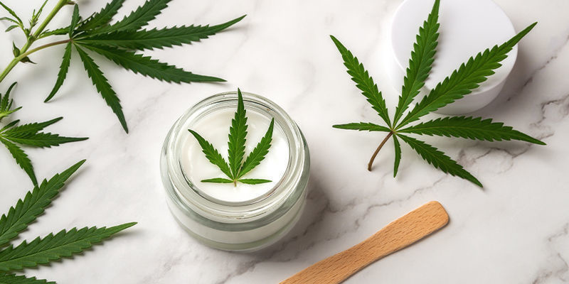 Innovation inom cannabissektorn: marknaden blomstrar Innovation inom cannabissektorn: marknaden blomstrar