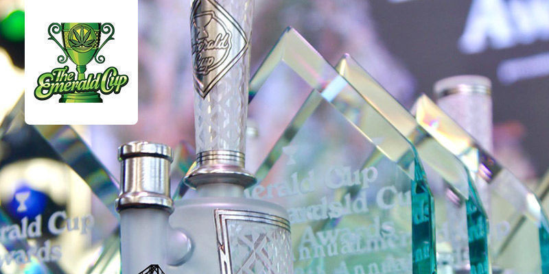 The Emerald Cup - Kalifornien, USA The Emerald Cup - California, USA