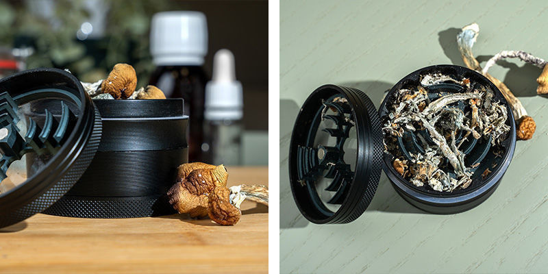 Mal de torkade svamparna Grind the dried mushrooms