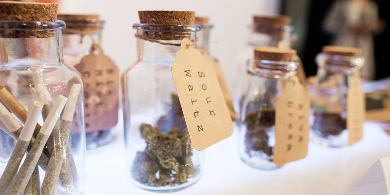 Cannabis-klubbar i Tyskland: okänd mark Cannabis Clubs In Germany: Uncharted Territory
