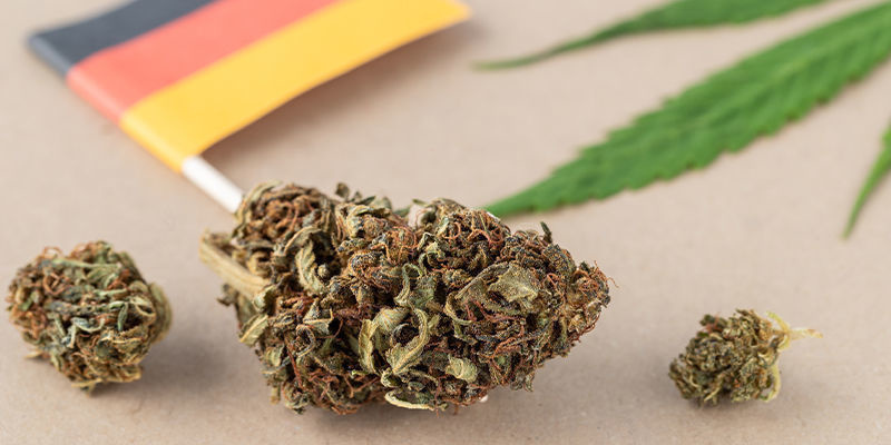 Vad säger lagen om cannabis i Tyskland? Vad säger lagen om cannabis i Tyskland?