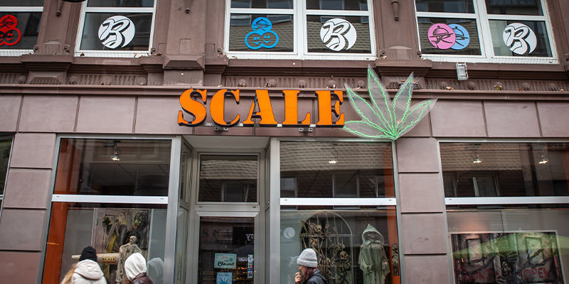 Vilka nya cannabisföretag finns det? Vilka nya cannabisföretag finns det?