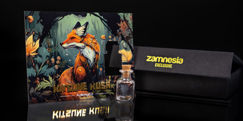 Rank 1 — Scouting Fox: Kitsune Kush Auto Rank 1 — Scouting Fox: Kitsune Kush Auto