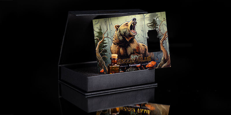 Rank 4 — Roaring Bear: Grizzly Glue Rank 4 — Roaring Bear: Grizzly Glue