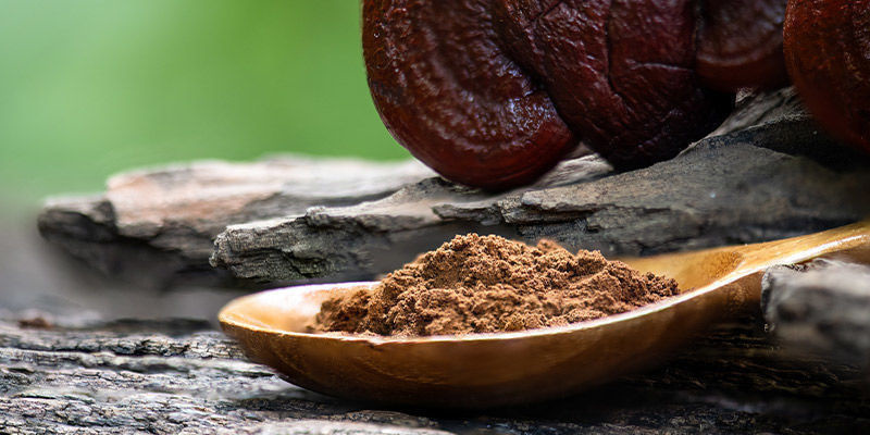 Antioxidanter Antioxidants