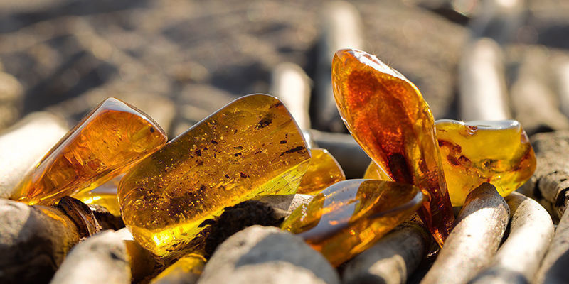 Lejonet – bärnsten Leo - Amber
