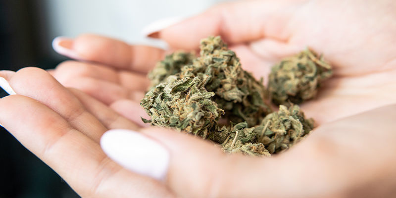 Fördelar med att använda cannabis som ett verktyg för biohacking Fördelar med att använda cannabis som ett verktyg för biohacking