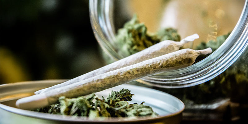 Risker, nackdelar och etiska överväganden med cannabisbiohacking Risker, nackdelar och etiska överväganden med cannabisbiohacking