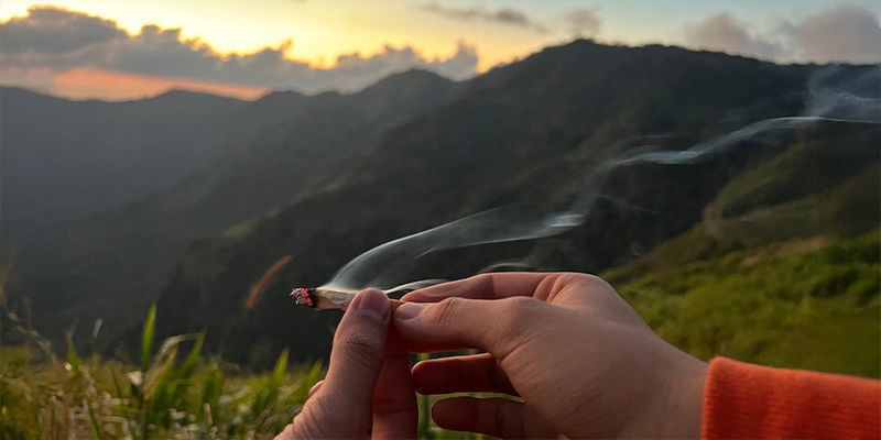 Utbildande cannabisturism Utbildande cannabisturism