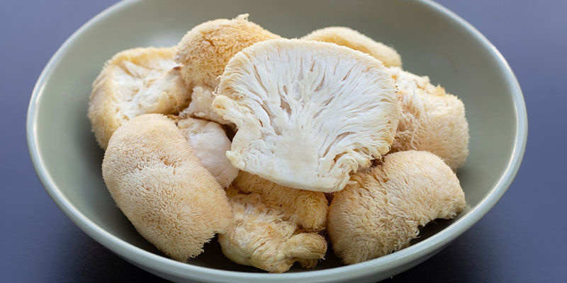 De kognitiva och fysiska fördelarna med funktionella svampar The cognitive and physical benefits of functional mushrooms