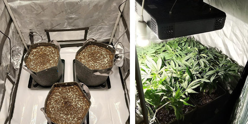 Rekommendationer för cannabis odlingstält Rekommendationer för cannabis odlingstält