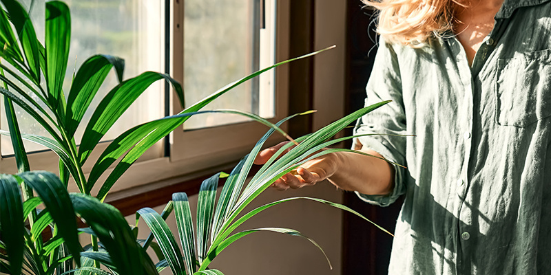 Ta in naturen och mota bort vintertröttheten Ta in naturen och mota bort vintertröttheten