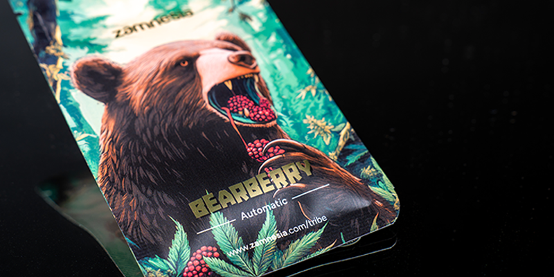 Rank 4: Bearberry Automatic (Zamnesia Seeds) Rank 4: Bearberry Automatic (Zamnesia Seeds)