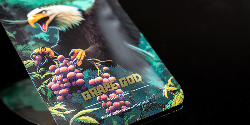 Placering 5: Grape God Automatic (Zamnesia Seeds) Rank 5: Grape God Automatic (Zamnesia Seeds)